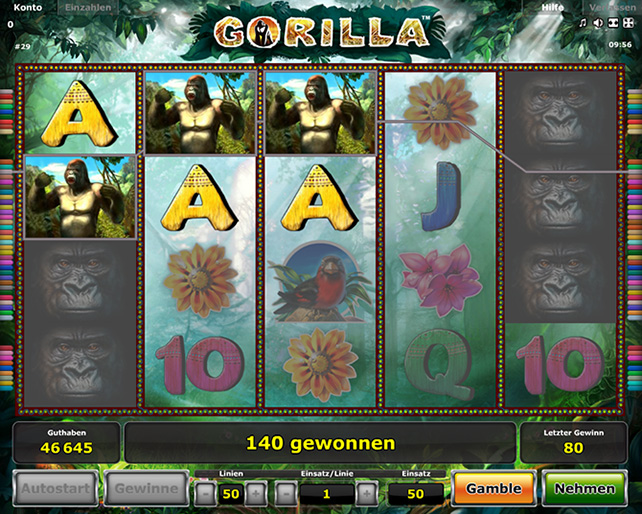 Gorilla