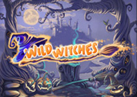 Wild Witches